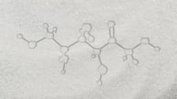 New Research Links Fructose to Obesity Risk