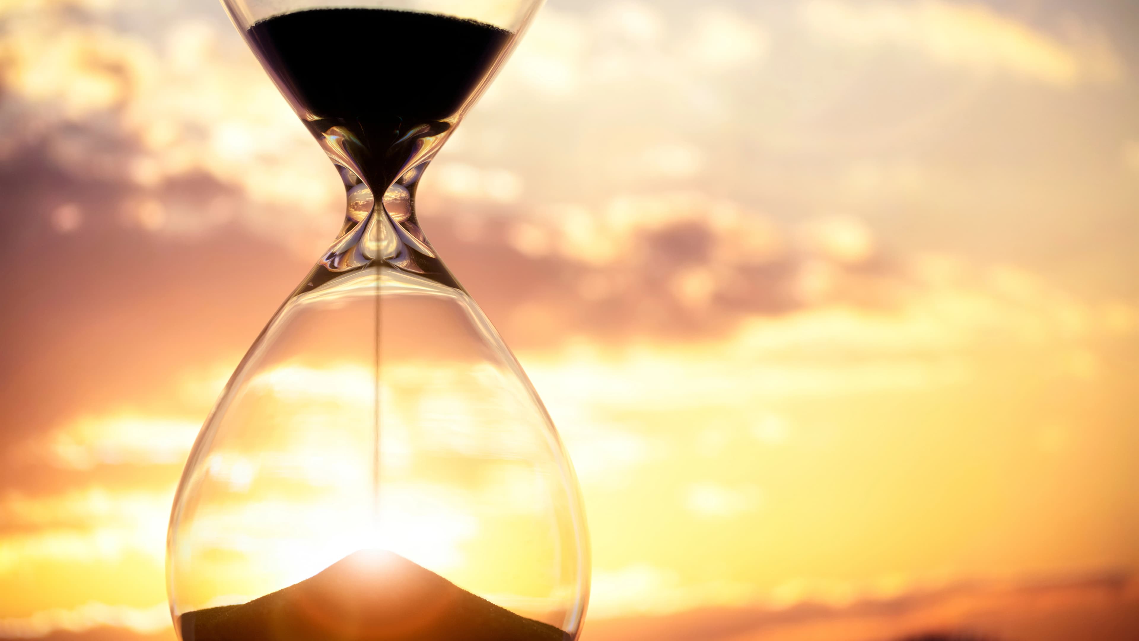 Three Science-Backed Habits to Boost Longevity and Workplace Productivity