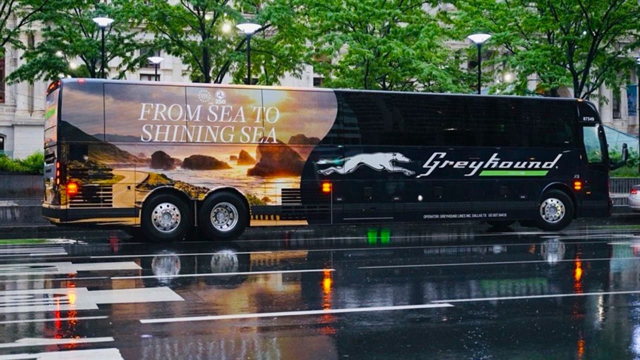 Greyhound Rolls Out America 250 Fleet to Mark Nation's Milestone