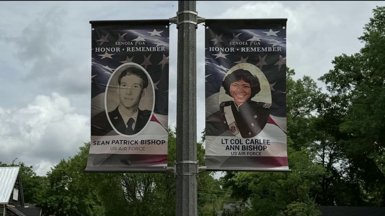 Senoia's Military Banner Campaign Funds Veterans Memorial