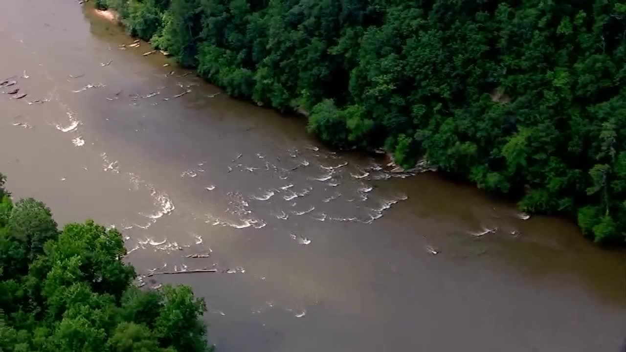 Chattahoochee River Fish Kill Prompts Water Quality Investigation