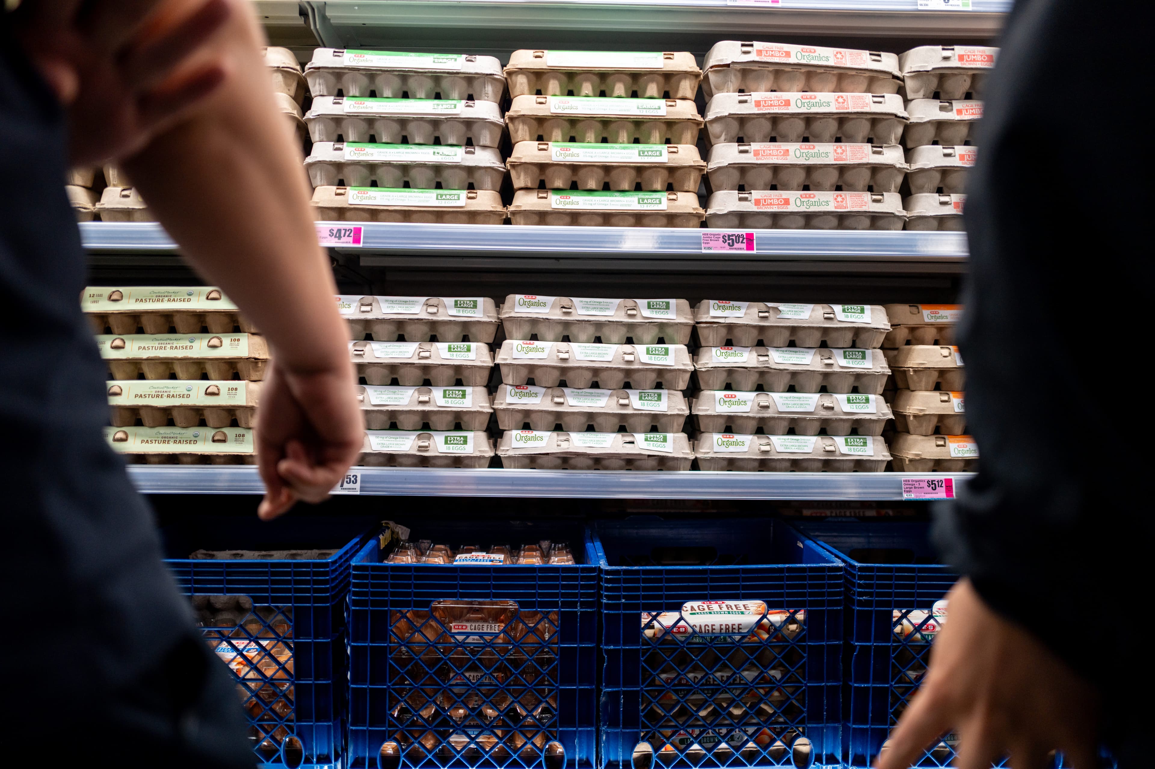 Egg Market Faces Margin Squeeze as Oversupply Pressures Prices