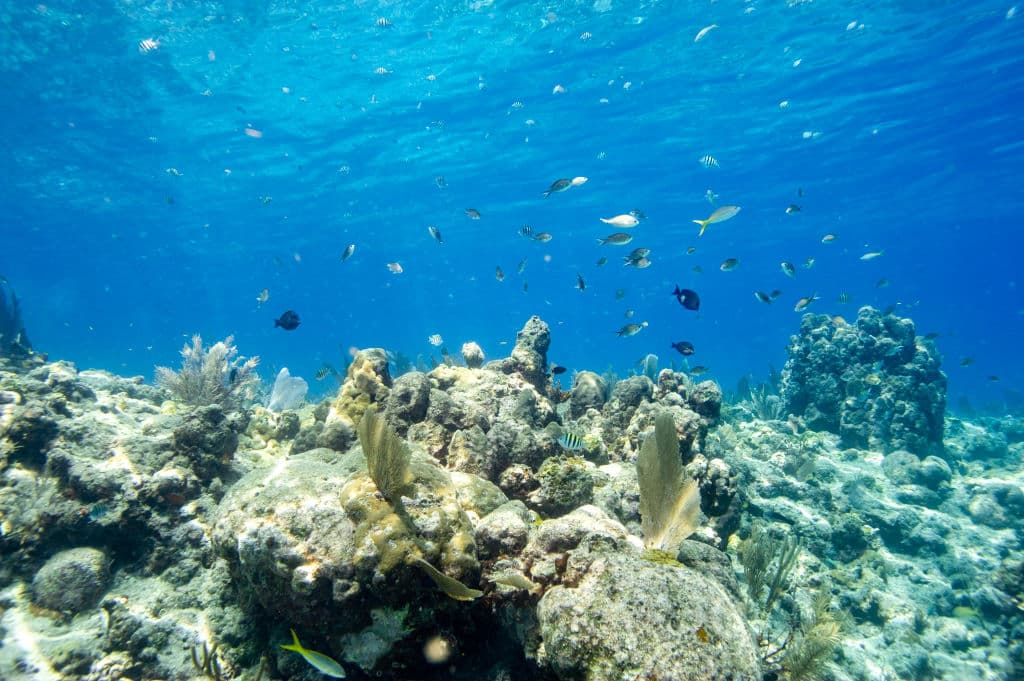 Safety Concerns Rise in Adventure Tourism Industry