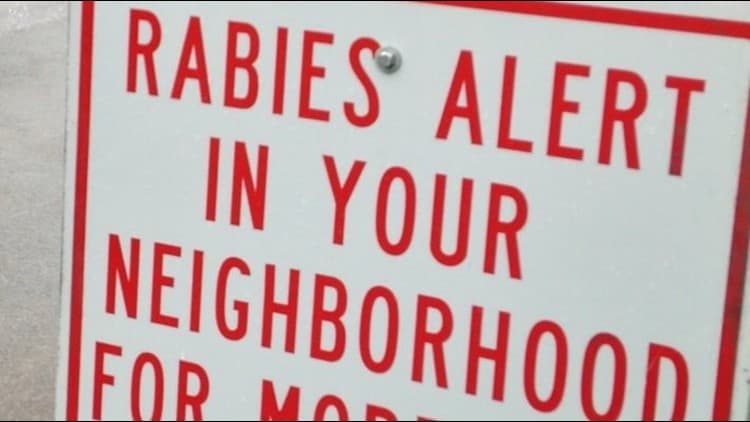 Gwinnett County Rabies Case Signals Need for Business Preparedness