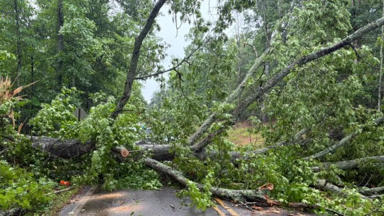 Storm Damage Leaves 2,000 Without Power in Troup County