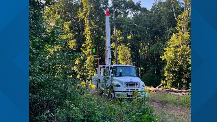 Palmetto Power Outage Resolved After Tree Strikes Transmission Lines