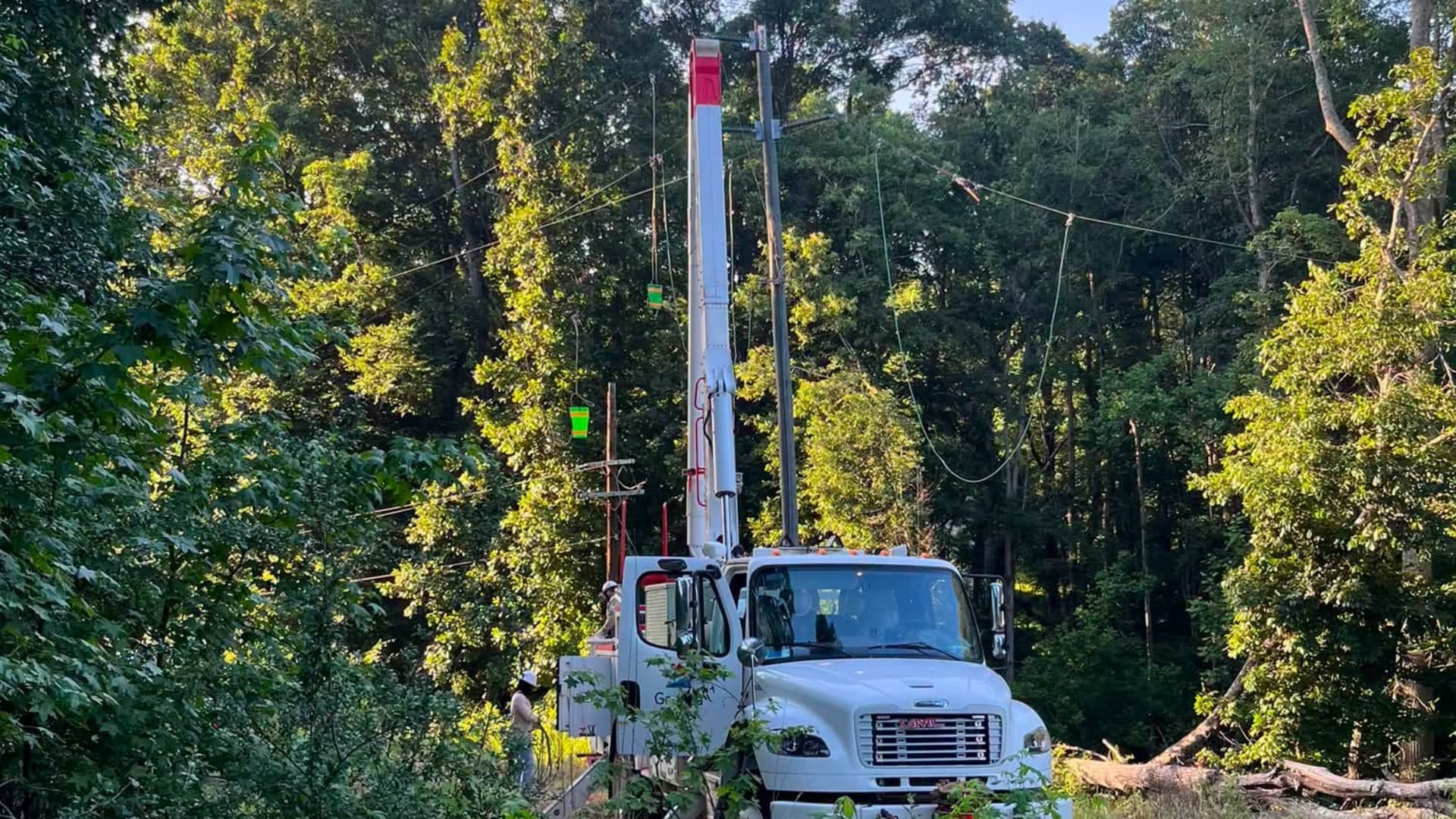 Tree Damage Triggers Major Power Outage in Palmetto Area