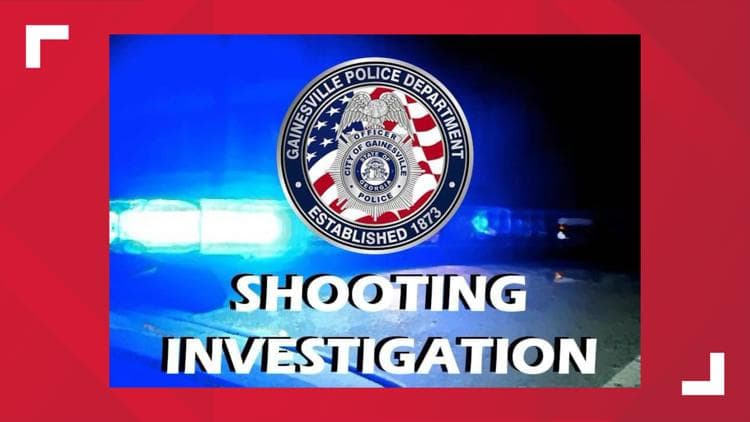 Safety Concerns Raised After Fatal Shooting at Gainesville Concert Event