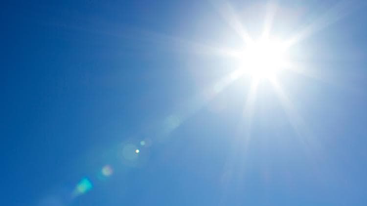 Heat-Related Death Investigation Highlights Workplace Safety Risks