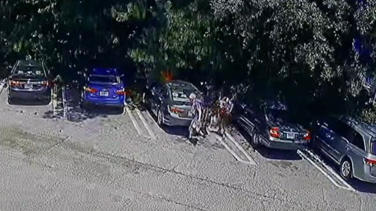Riverdale Police Seek Suspects in Intentional Vehicle Fire