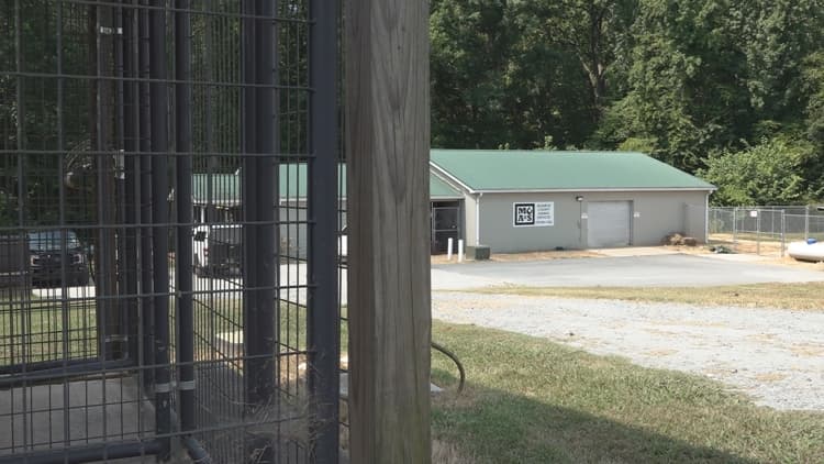 Monroe County Animal Control Officer Faces Criminal Allegations