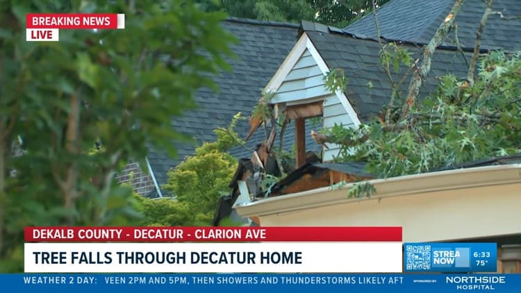 DeKalb County Property Damage Highlights Tree Risk for Homeowners