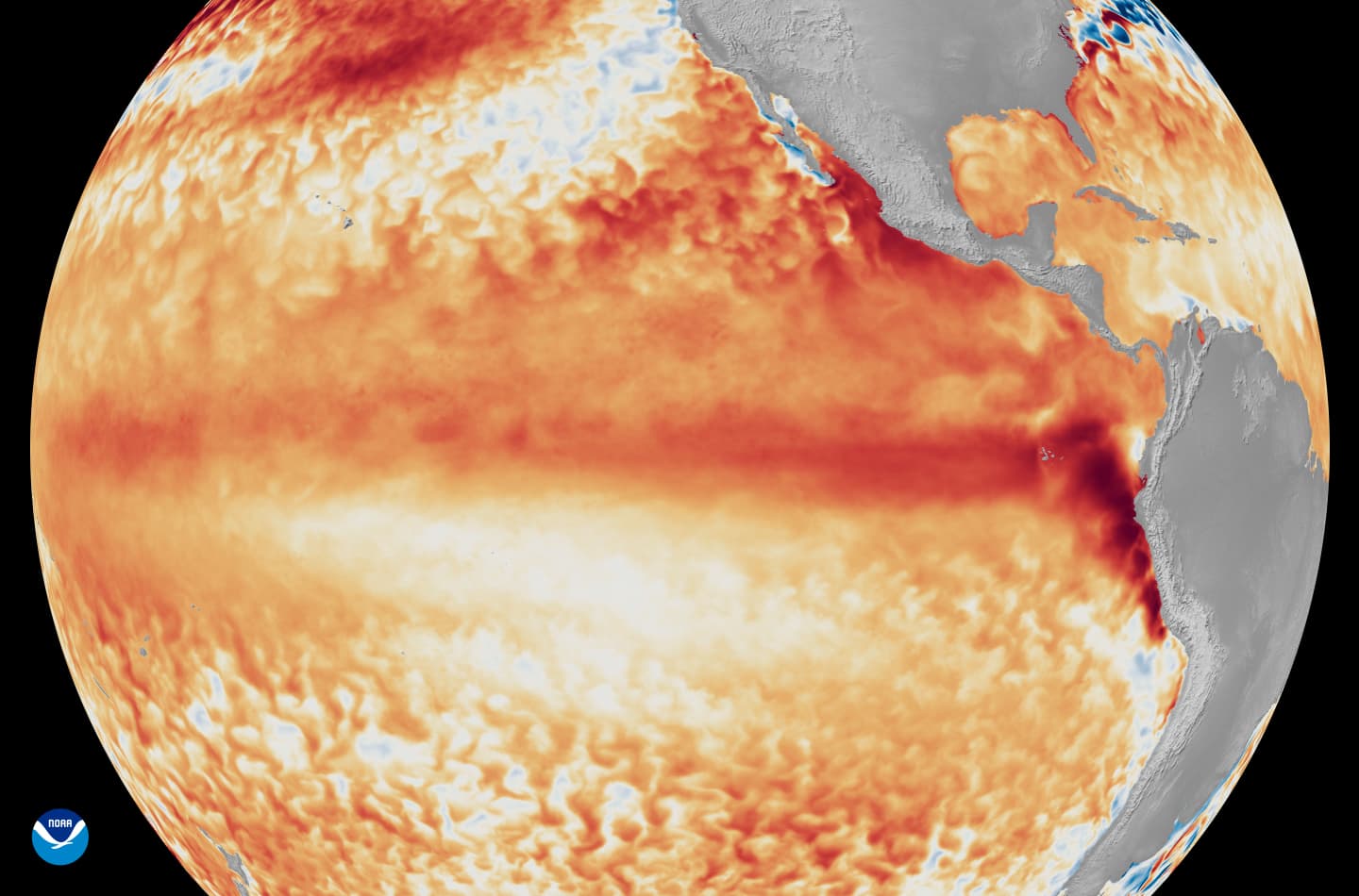 El Niño's Heat: What Georgia Businesses Need to Know