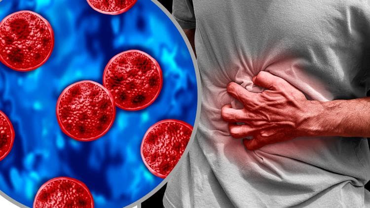 Georgia Retailers Face New Food Safety Rules Amid Parasite Outbreak