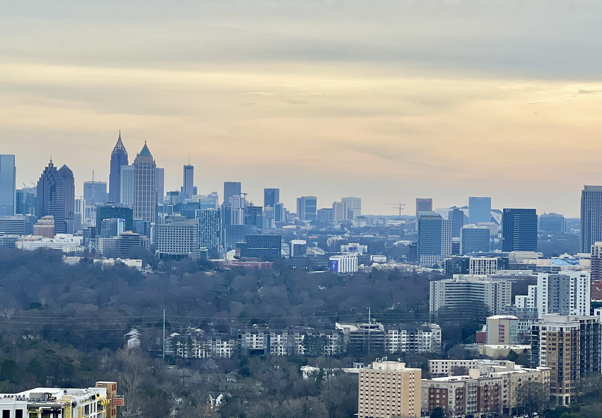 Atlanta's Tree Canopy Declines, Threatening 'City in Forest' Brand