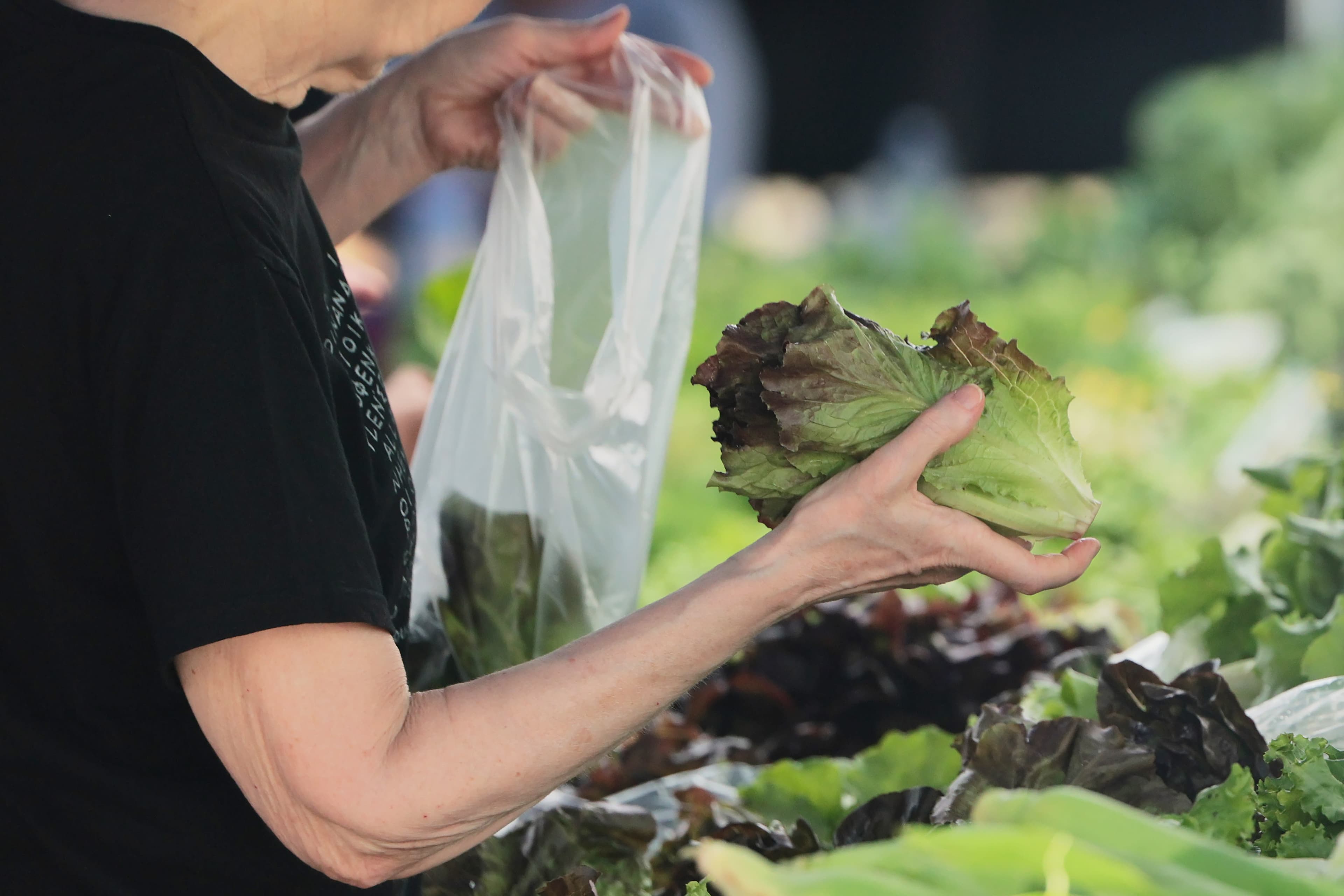Salad Chain Traffic Drops as Cyclospora Concerns Deter Diners
