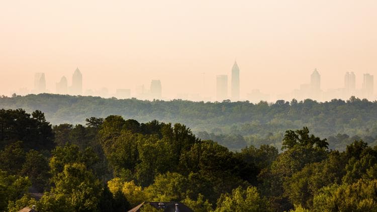 Atlanta's Tree Canopy Decline Poses Challenge for Urban Development