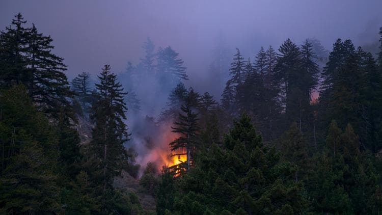 Senators Push to Ban Wildfire Betting Markets Over Disaster Risk