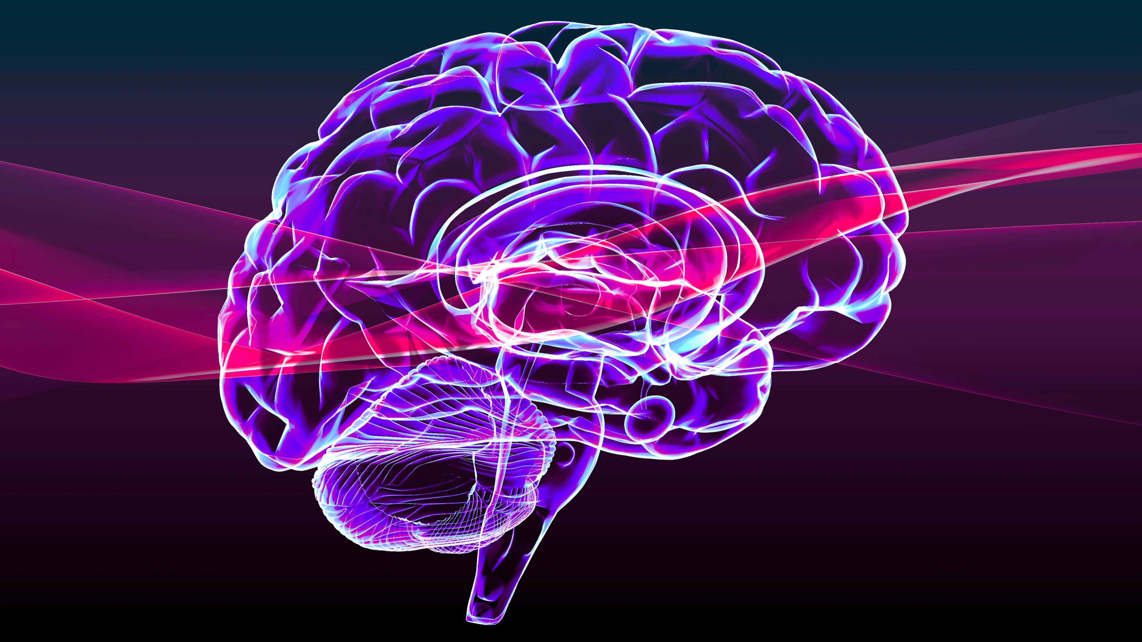 Growth Mindset: How Atlanta Leaders Can Rewire Their Brains for Success