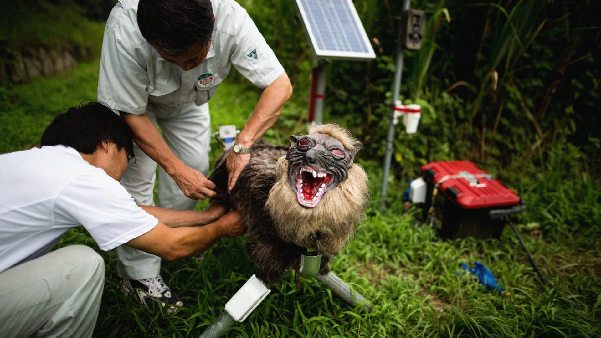 Japanese Robot 'Monster Wolf' Offers Lessons for Wildlife Management Tech