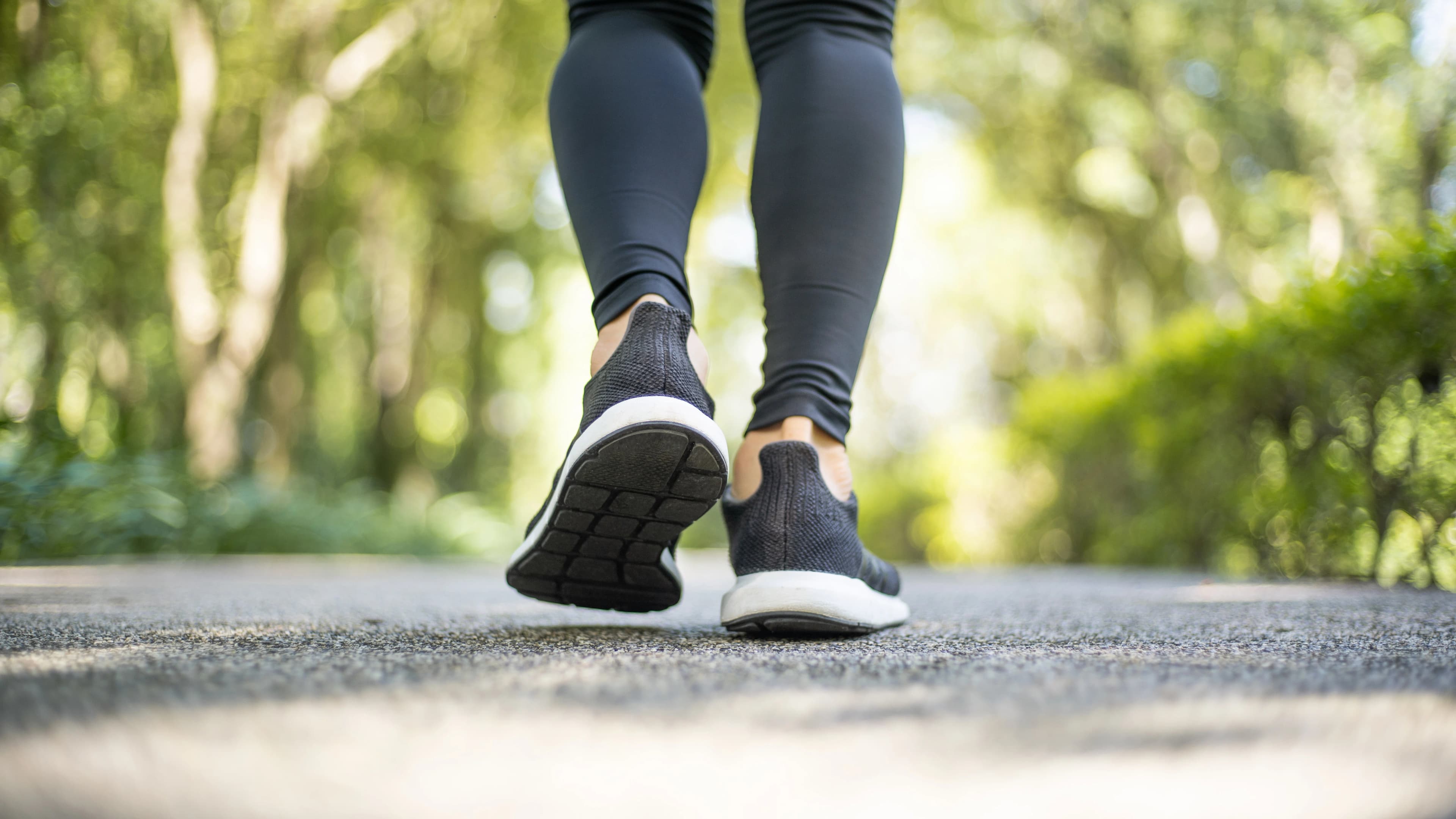 15-Minute Daily Walks: A Science-Backed Wellness Strategy for Busy Professionals