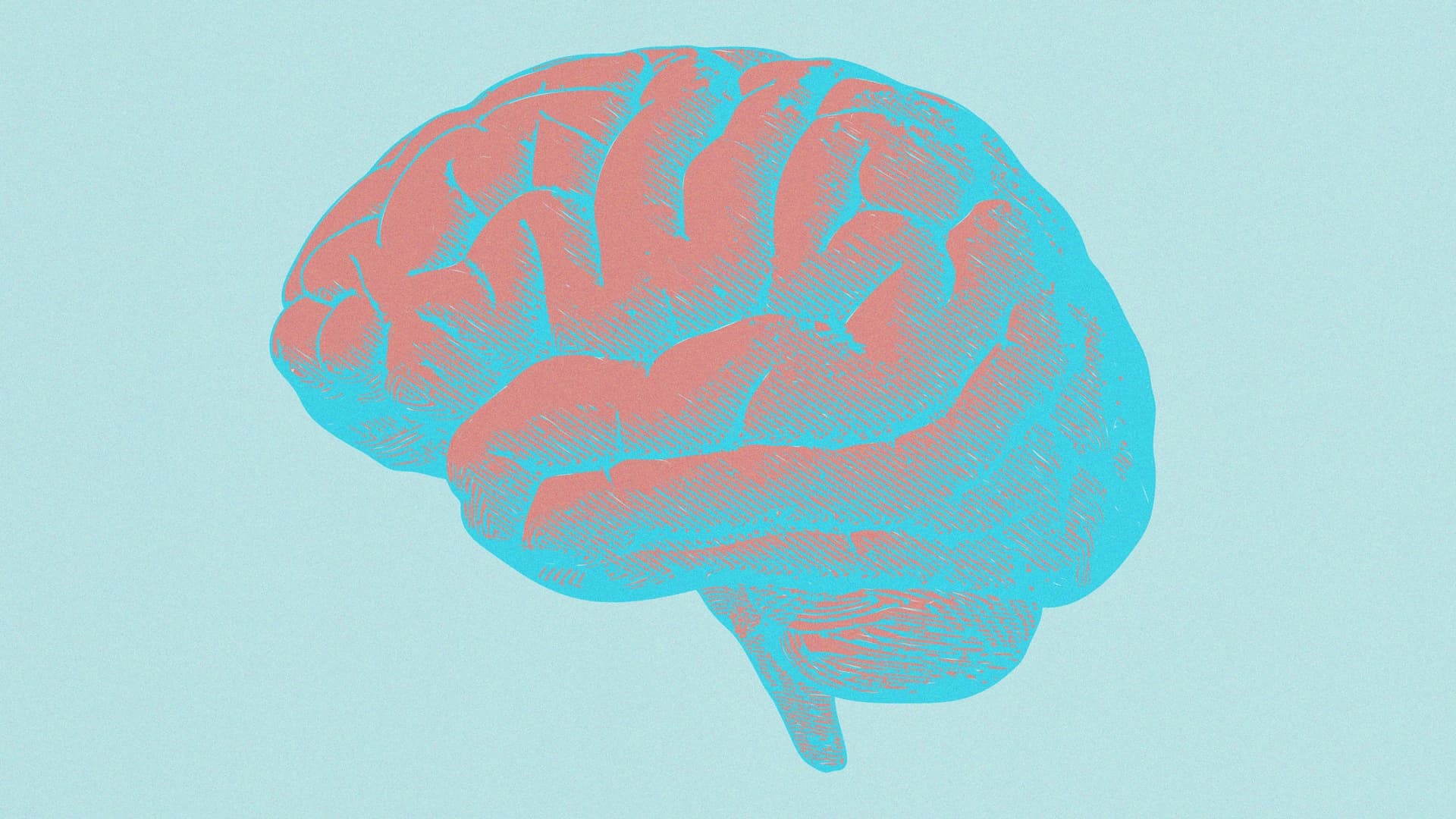Brain Health Strategy: 5-10 Minutes Daily Boosts Cognition at Any Age