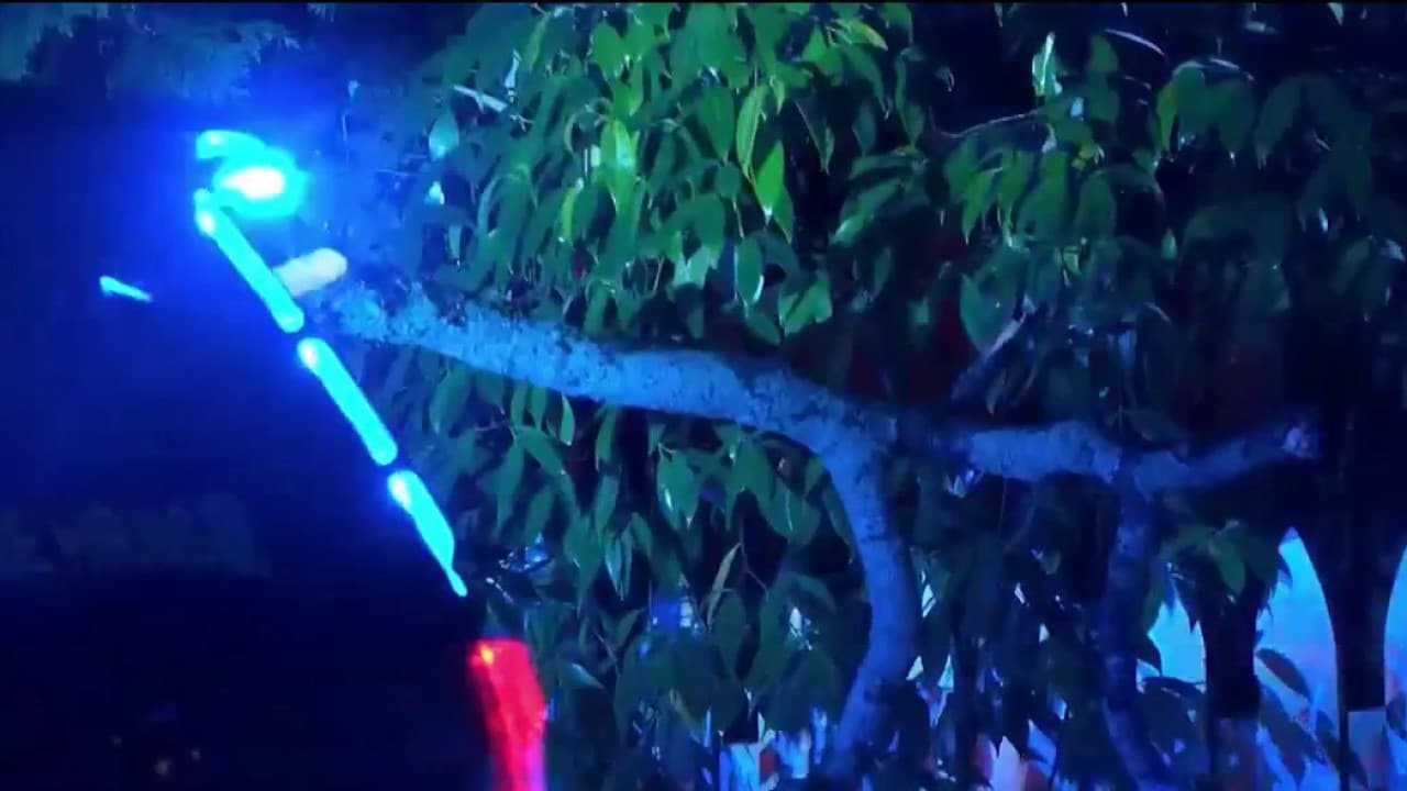 Georgia Power Tackles Storm Damage Following Memorial Day Weekend