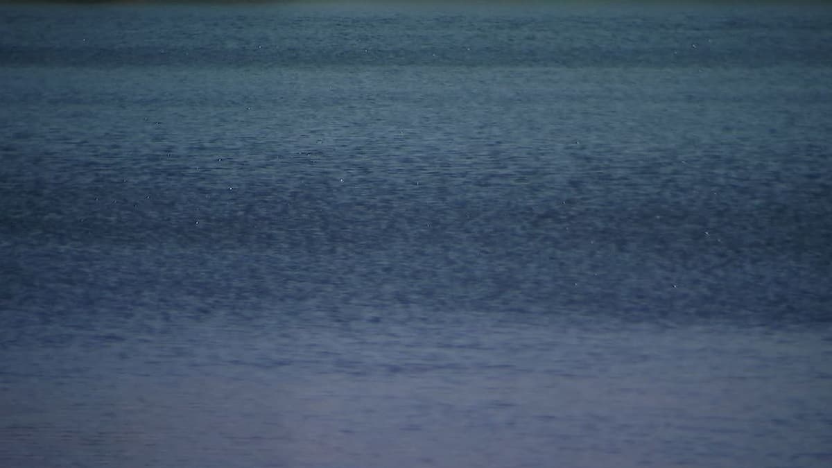 Cobb County Water Safety: A Reminder for Atlanta Businesses