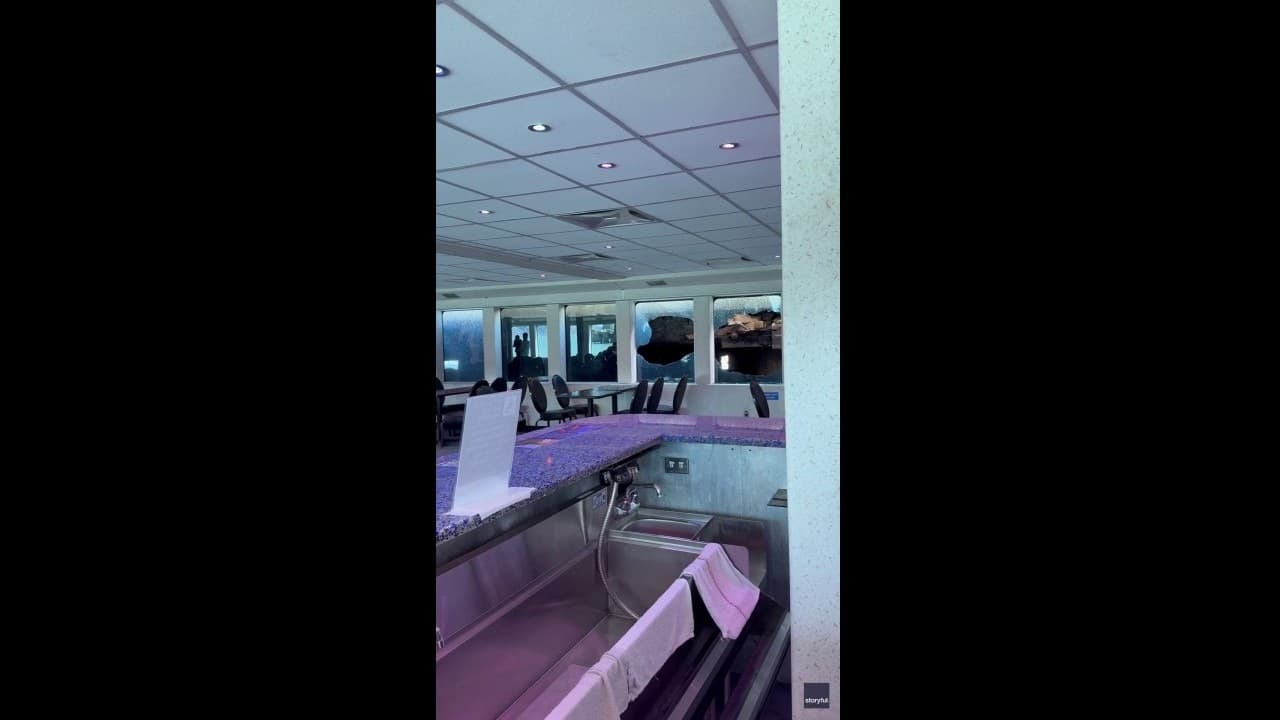 San Francisco Ferry Collision Raises Questions on Tourism Operations Safety