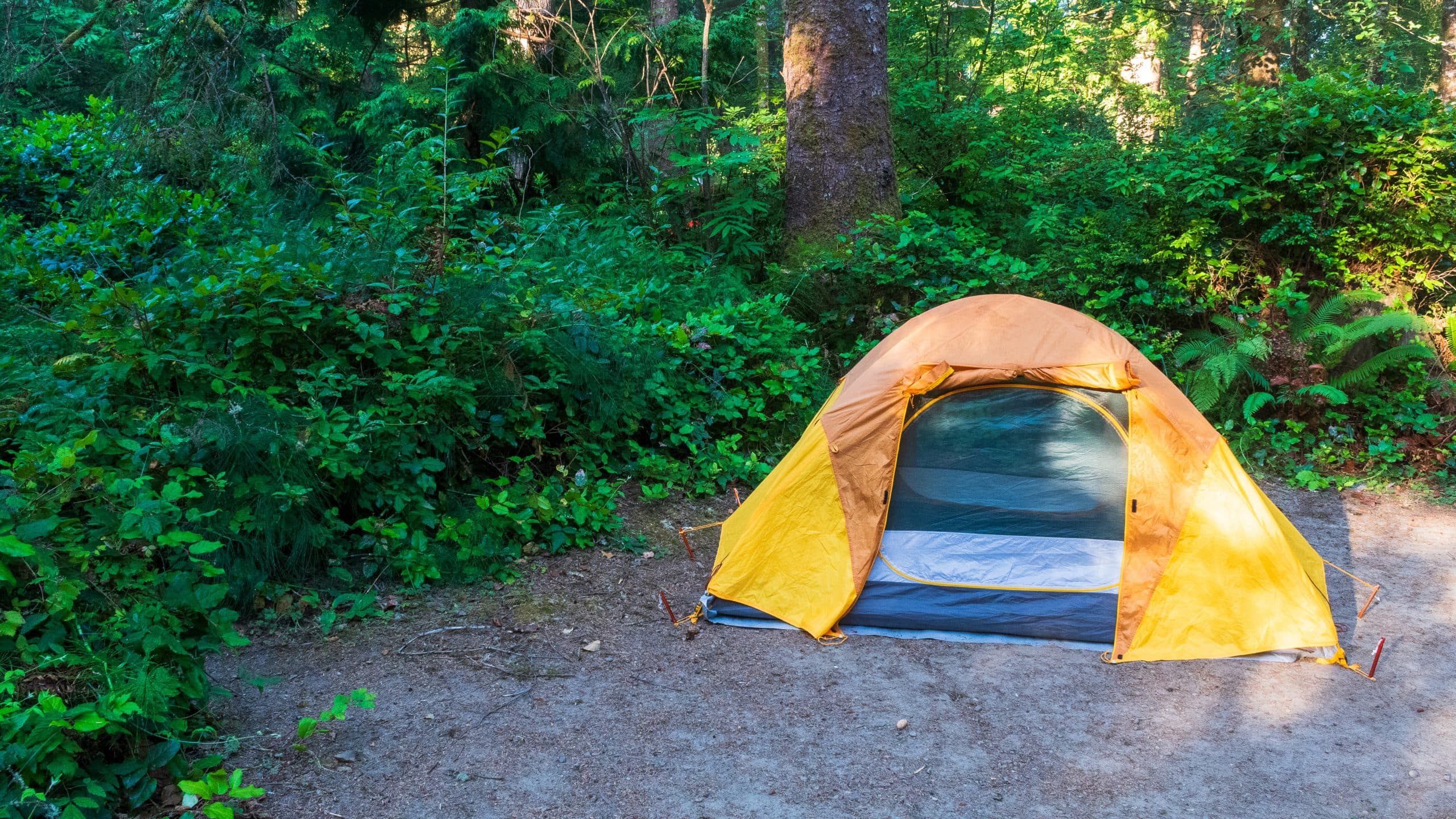 Safety Concerns in Outdoor Recreation Spark Industry Review