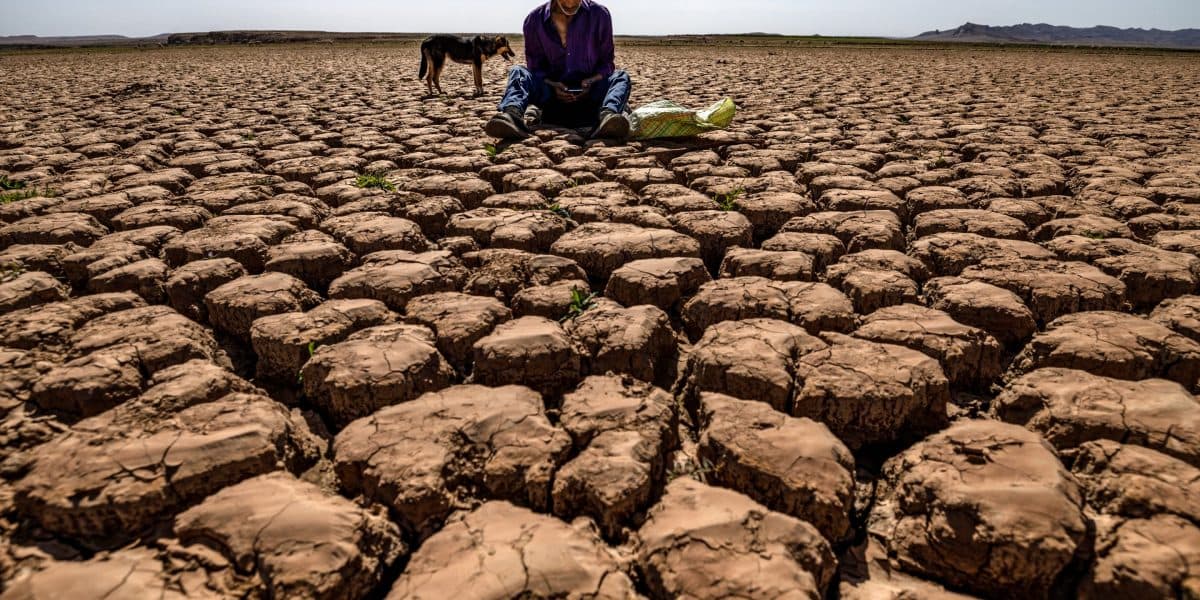 Super El Niño Could Make 2027 Record-Hot Year for Georgia Business