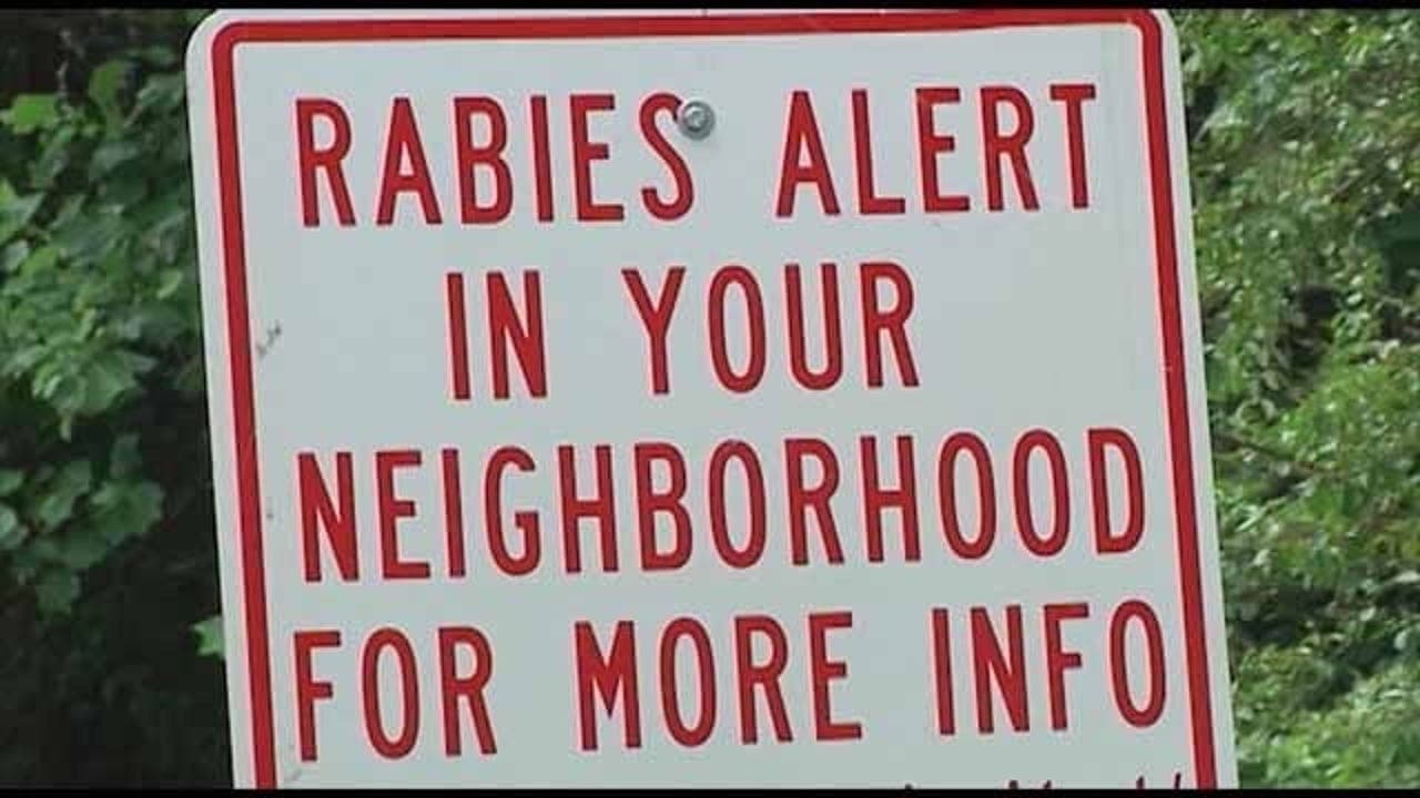 Rabid Raccoon Attack in Gwinnett Raises Public Health Alert