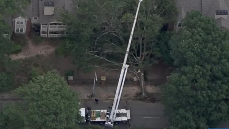 Atlanta Utility Worker Injured After Tree Strikes Bucket Truck