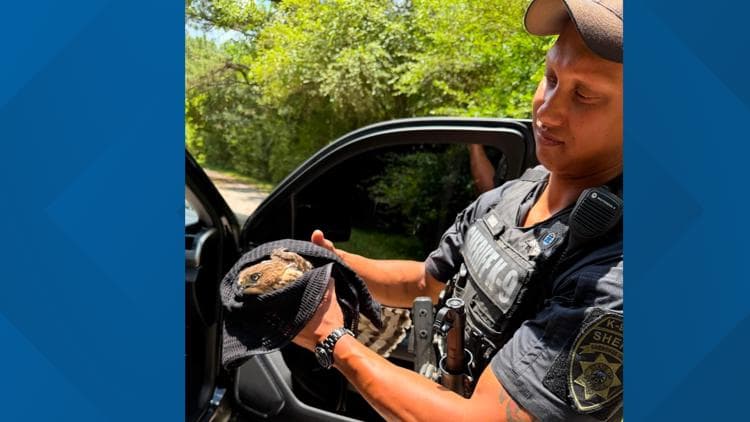 Cherokee County Emergency Response Highlights Animal Welfare in Metro Atlanta