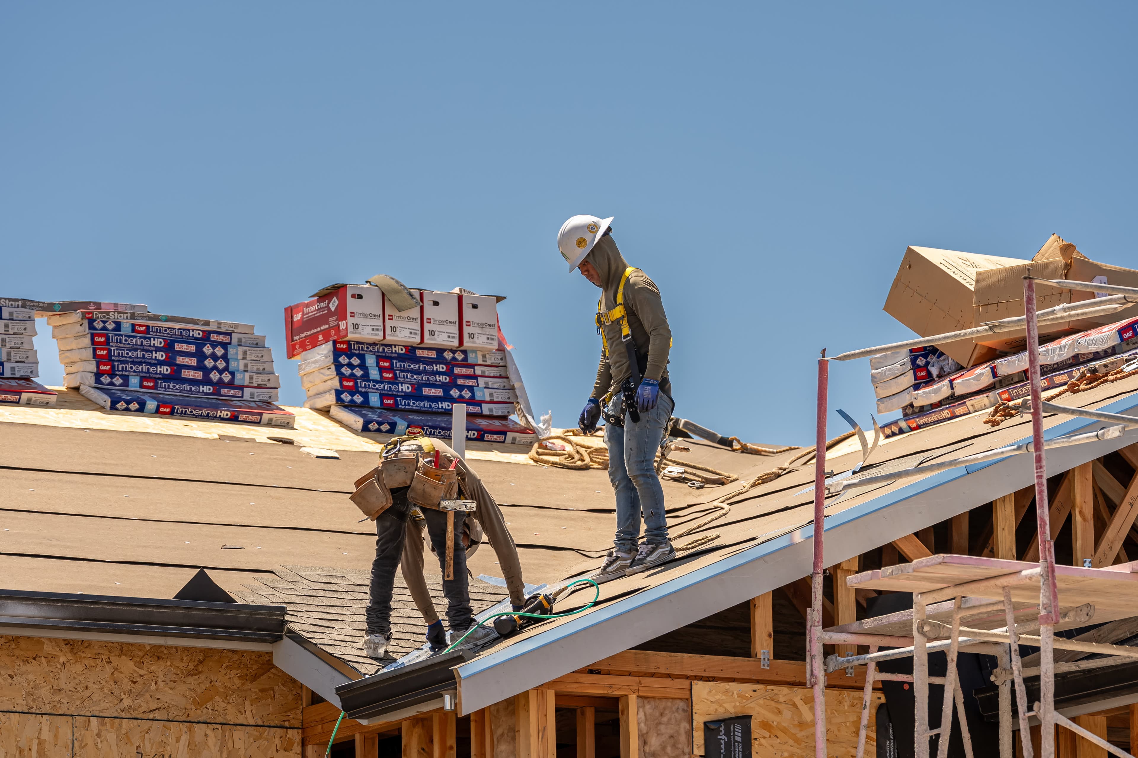 Housing Costs Top Political Priority for Young Voters