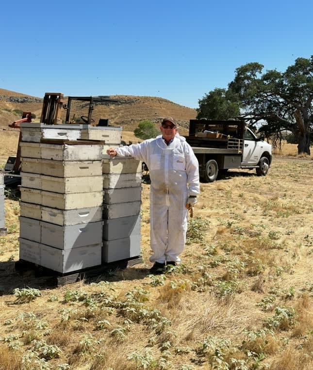 Multigenerational Honey Farm Faces Mounting Pressures