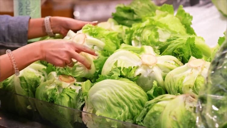 Cyclospora Outbreak Spans 47 States, Raising Food Safety Concerns